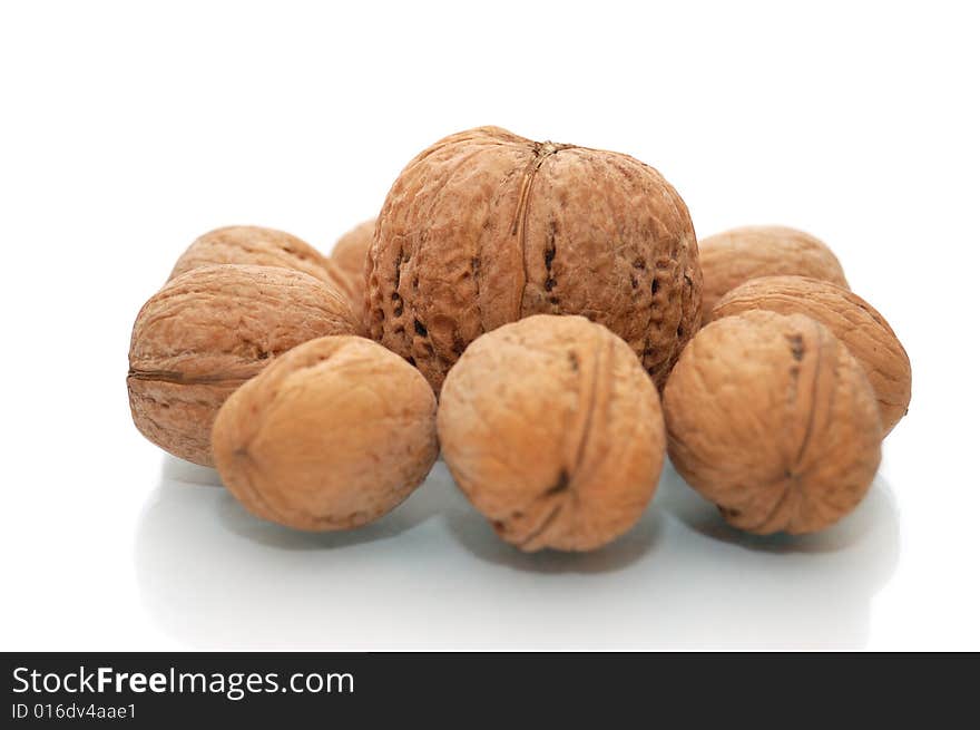 Huge walnuts and many small walnuts