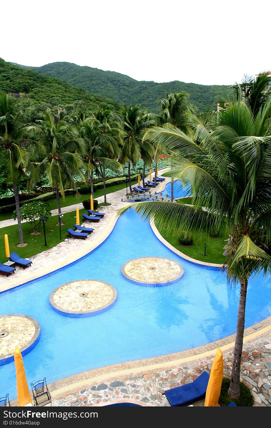 Outdoor swimming pool with coconut palms around, and rest bed on the bank.