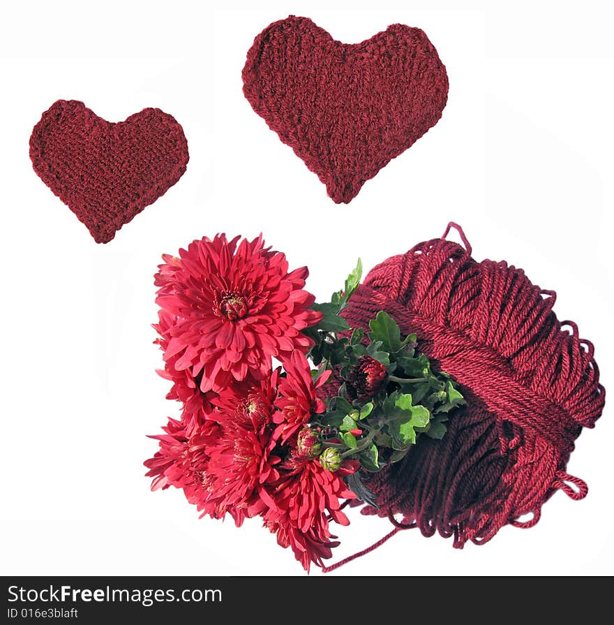 Cherry chrysanthemums, skein and knitted hearts on white background. Cherry chrysanthemums, skein and knitted hearts on white background