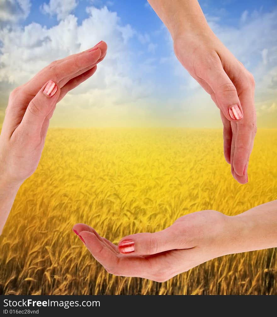 Recycling symbol made from hands; golden field as a background