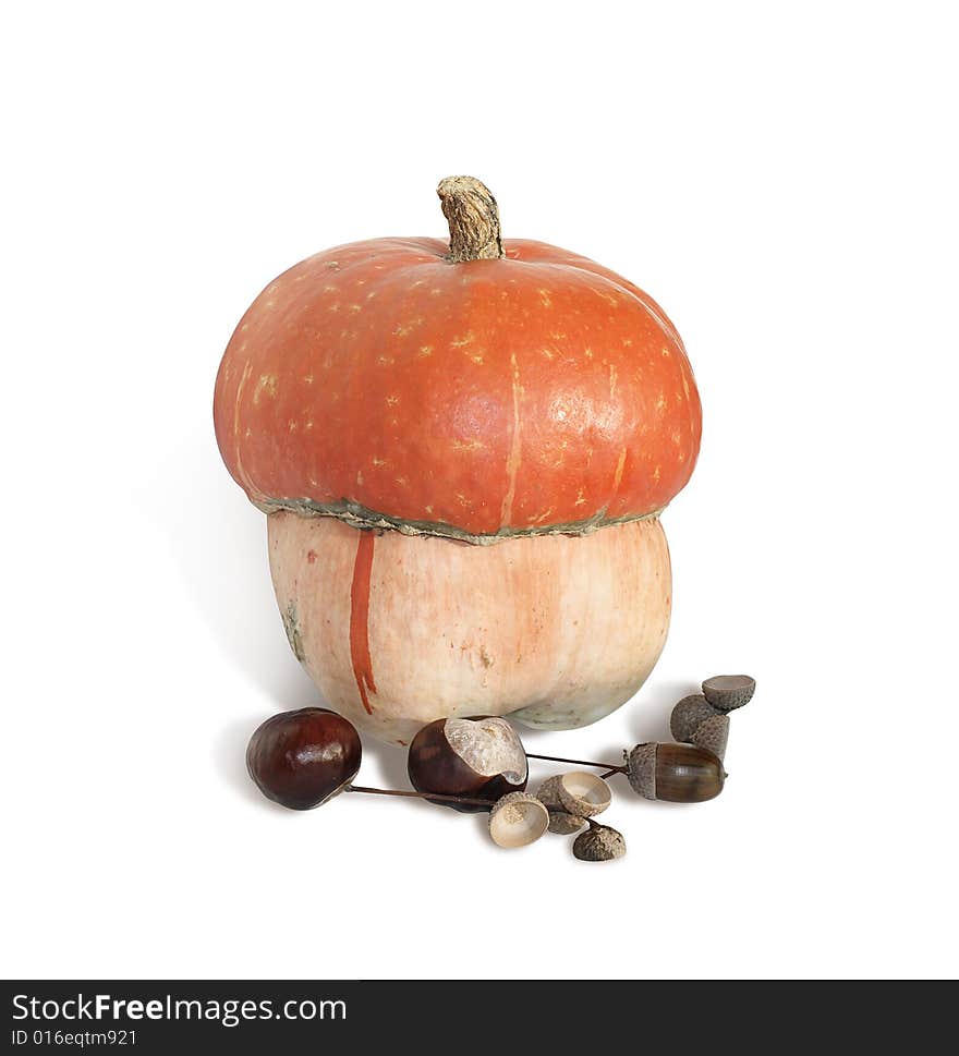 Decorative pumpkin with chestnuts and acorns isolated on white background. Decorative pumpkin with chestnuts and acorns isolated on white background