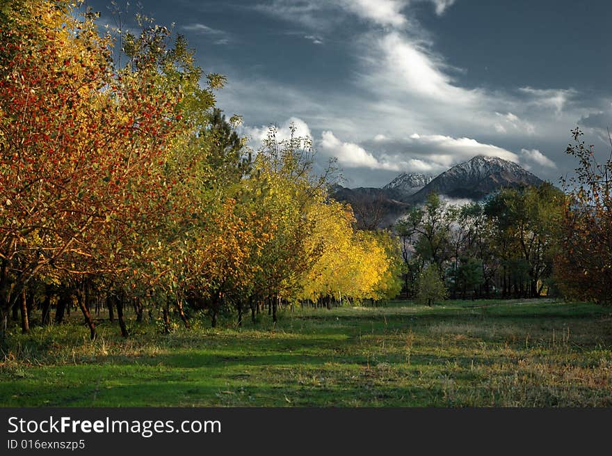 Landscape with autumn trees and mountains. Landscape with autumn trees and mountains