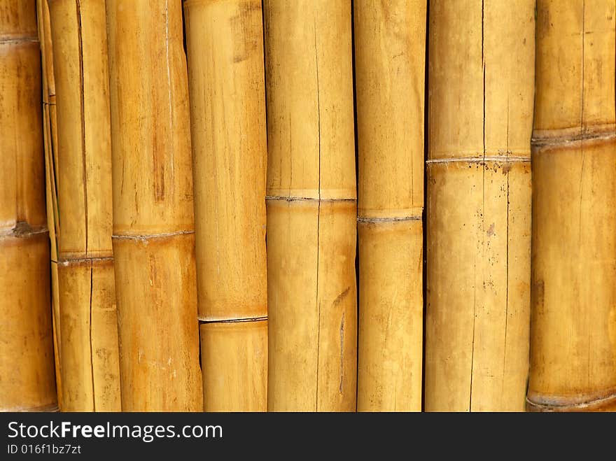 Yellow bamboo screen. A close up