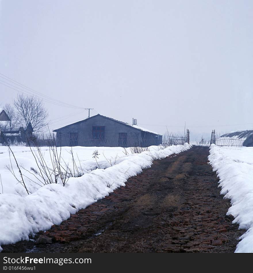 A path in the snow field