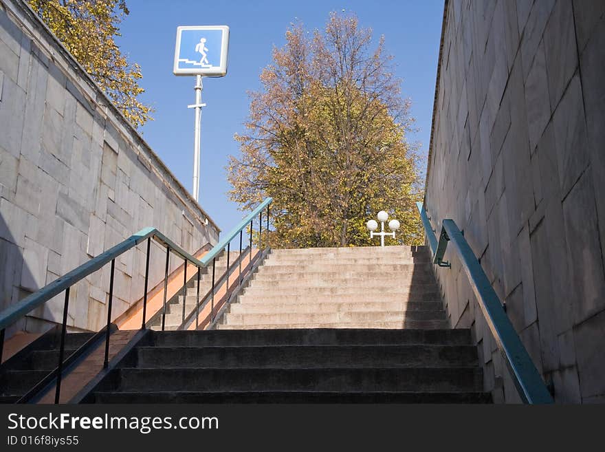 View on a tree from pedestrian subway