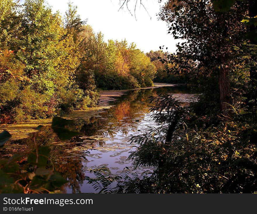 Vivid colors of autumn are reflected in clear water. Vivid colors of autumn are reflected in clear water