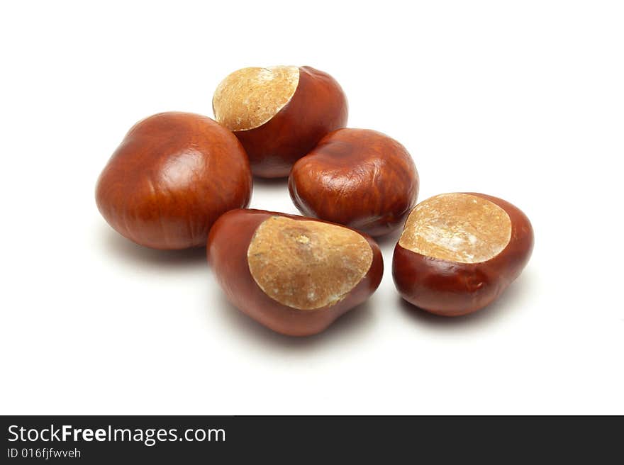 Conkers