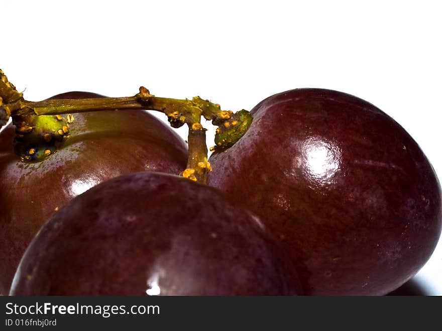 Black Grapes