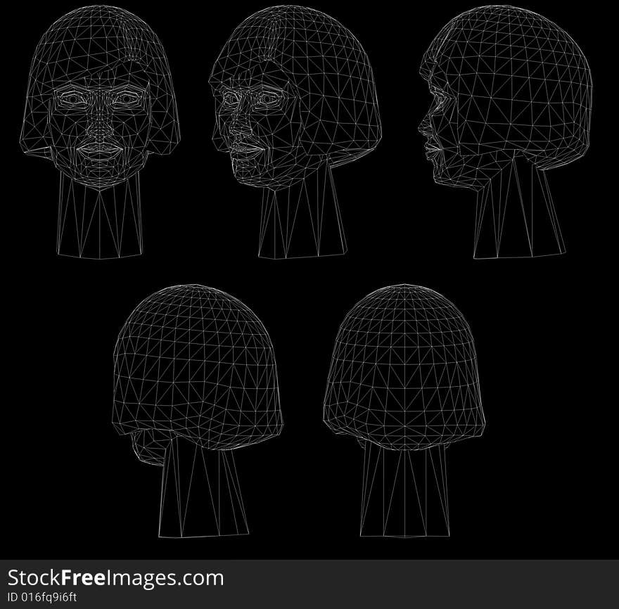 Various views of a virtual female head model. Various views of a virtual female head model