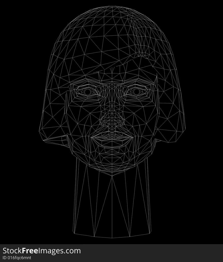 Monochrome 3D mesh female head