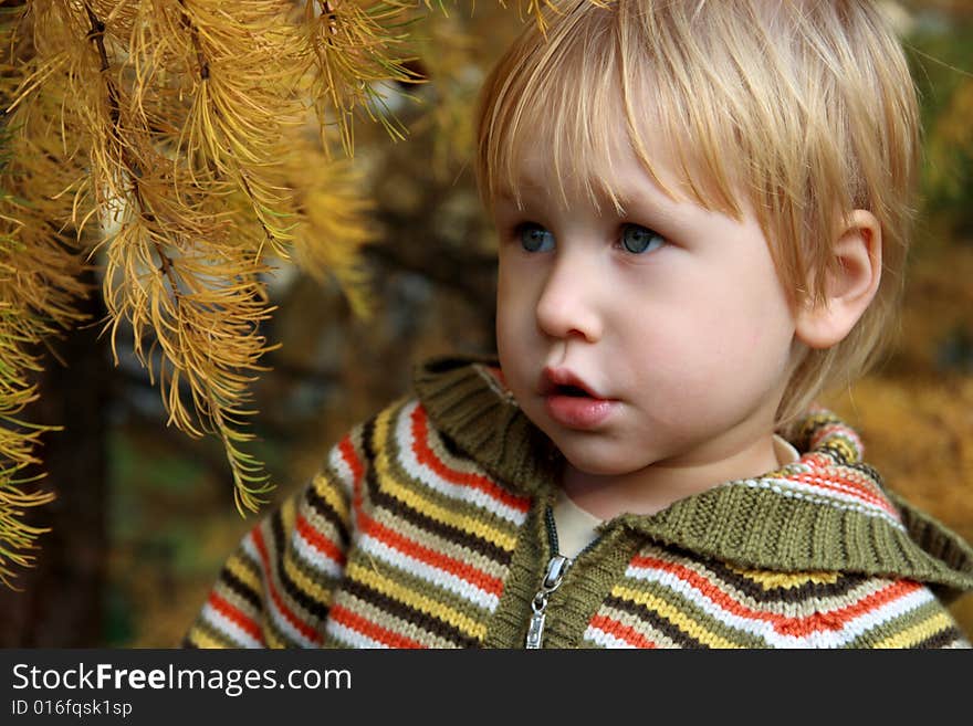 Child in autumn park