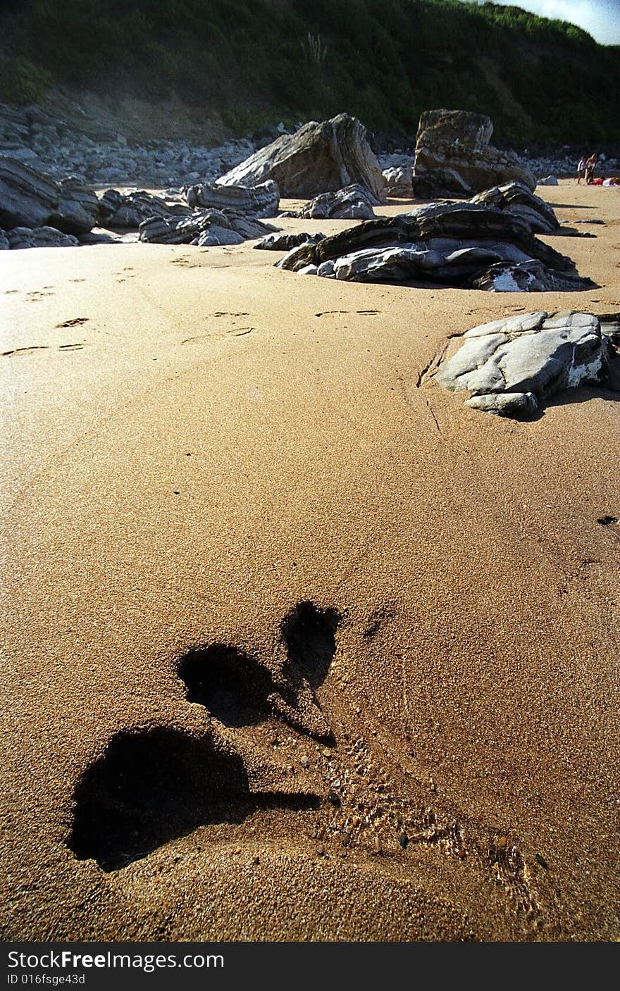 Steps in the sand