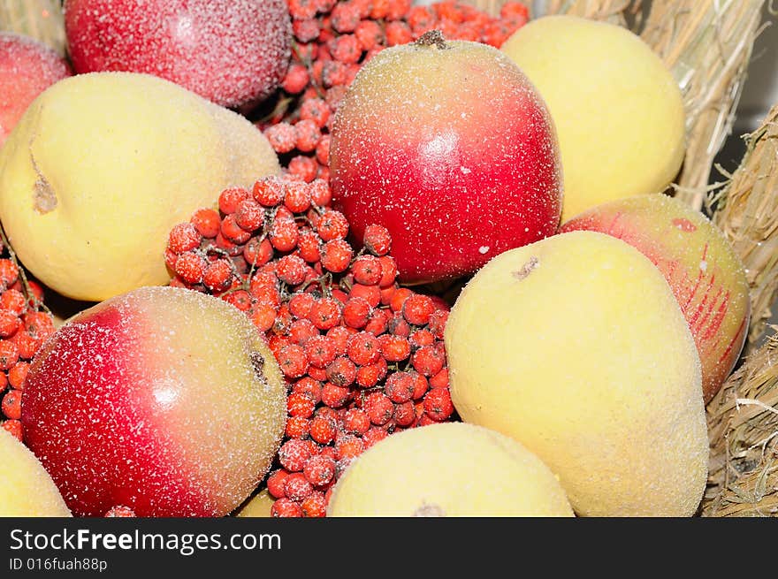 Frosted Fruits