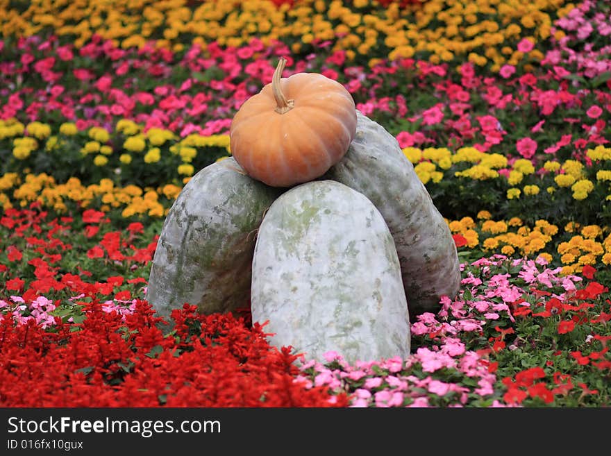 Melons in bumper harvest celebrations of Chinese national minority family