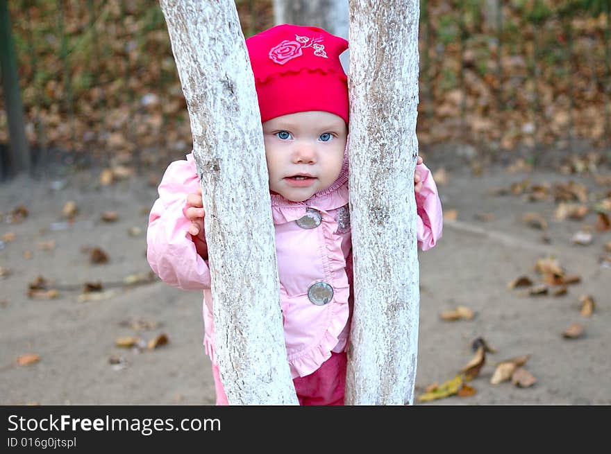 Pretty little girl stay behind tree in autumn park. Pretty little girl stay behind tree in autumn park.