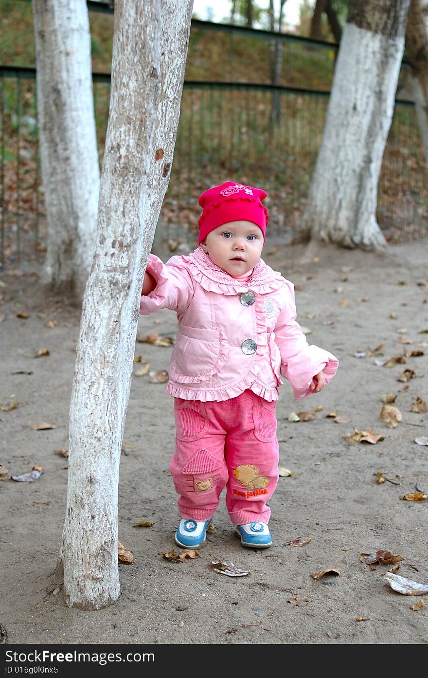 Pretty little girl stay behind tree in autumn park. Pretty little girl stay behind tree in autumn park.