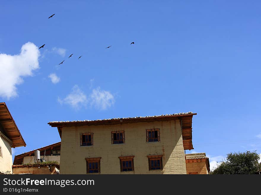 Blue sky white house bird