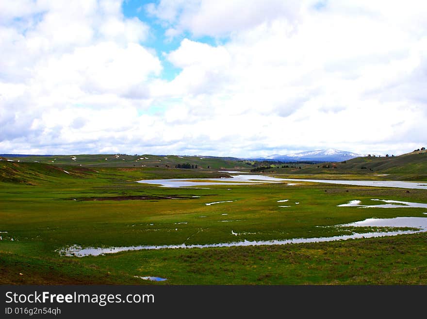 Creek in the field