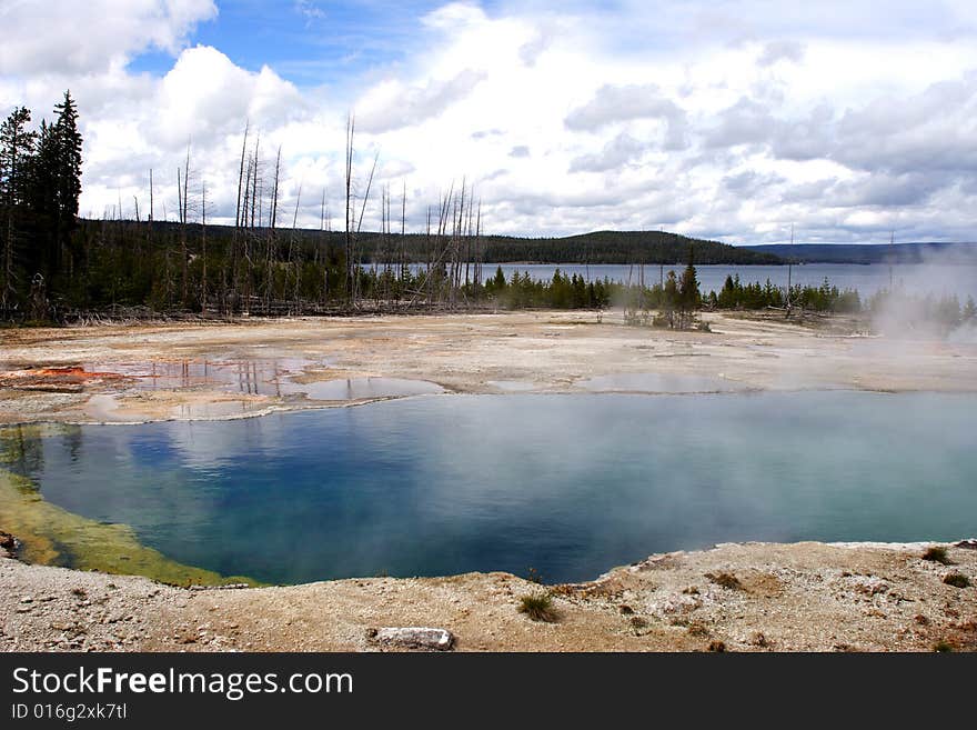 Geyser By Yellowstone Lake