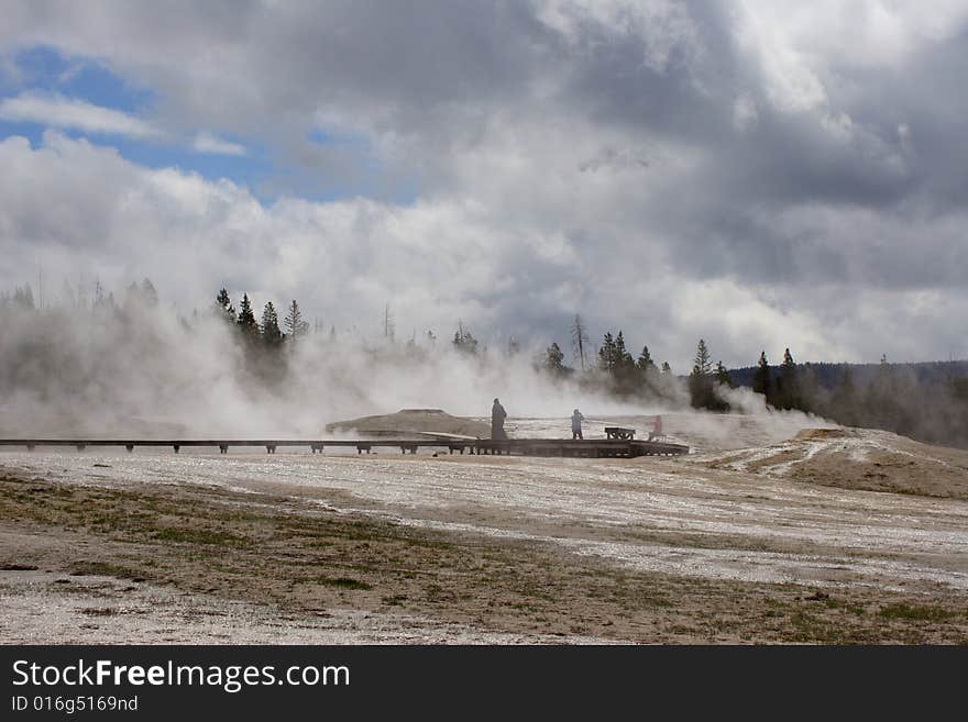 Geyser in Yellowstone