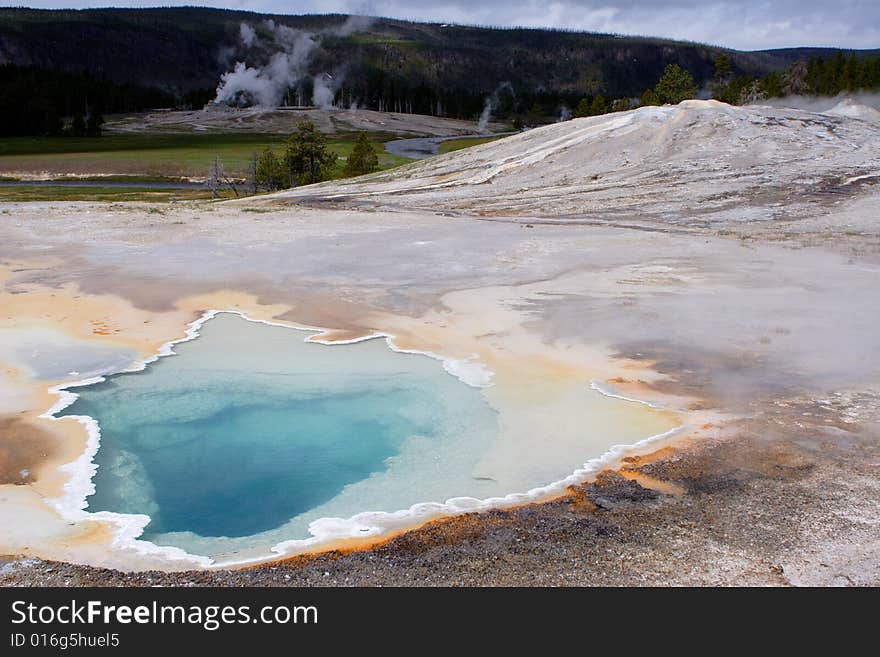 Geyser View In Yellowstone