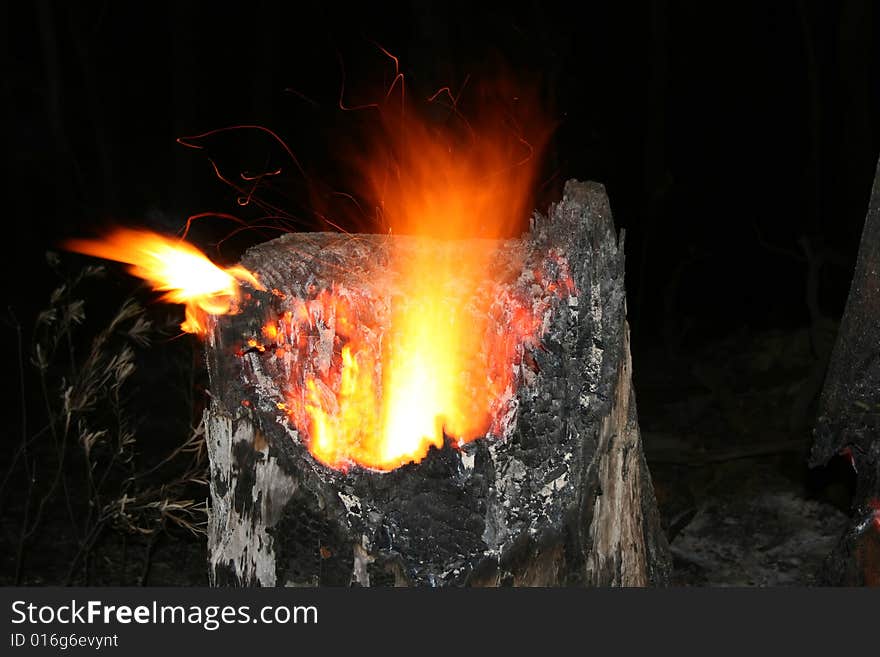 Bushfire/Wildfire closeup at night. Bushfire/Wildfire closeup at night