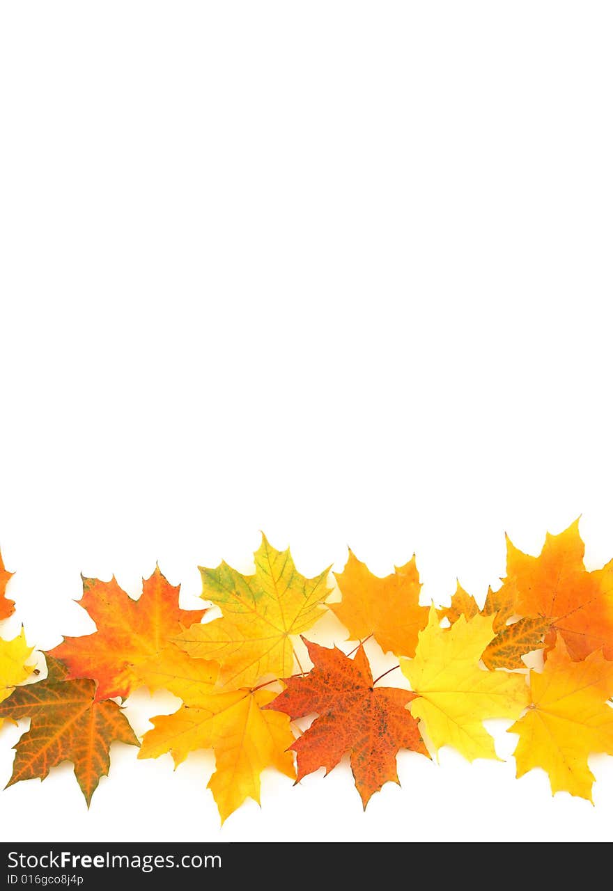 Leaves of yellow orange and red color on a light background. Leaves of yellow orange and red color on a light background.