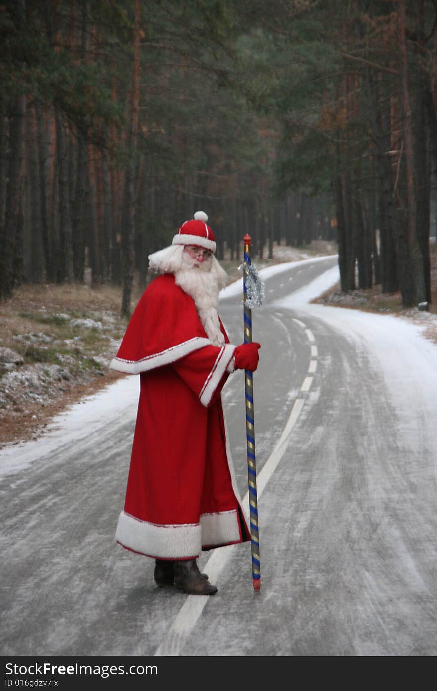 Santa Claus coming along deep forest road. Santa Claus coming along deep forest road