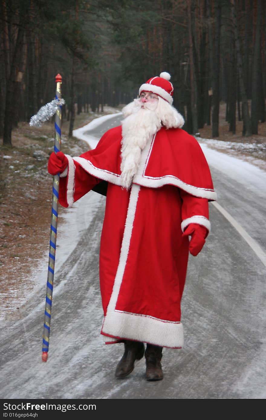 Santa Claus coming along deep forest road. Santa Claus coming along deep forest road