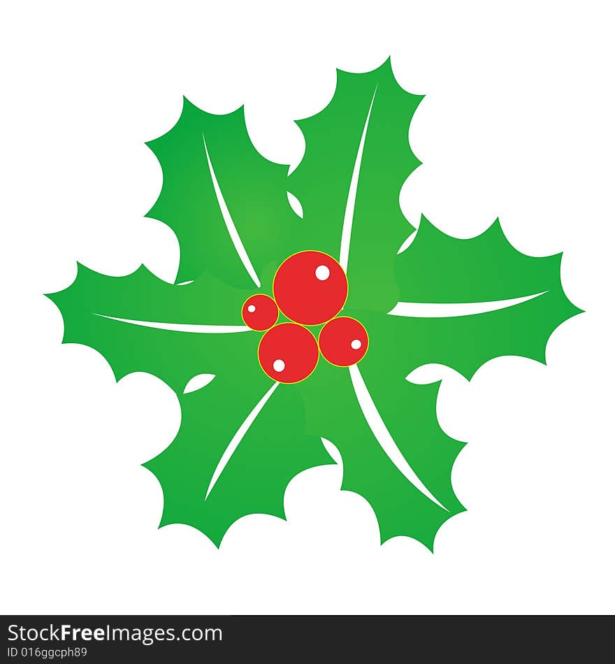 Mistletoe on white background, vector illustration