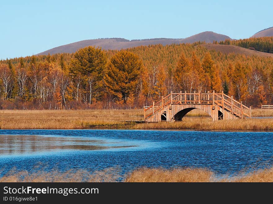 Bashang grassland in Inter-Mongolia  of China, a famous and beautiful and colourful place to visit