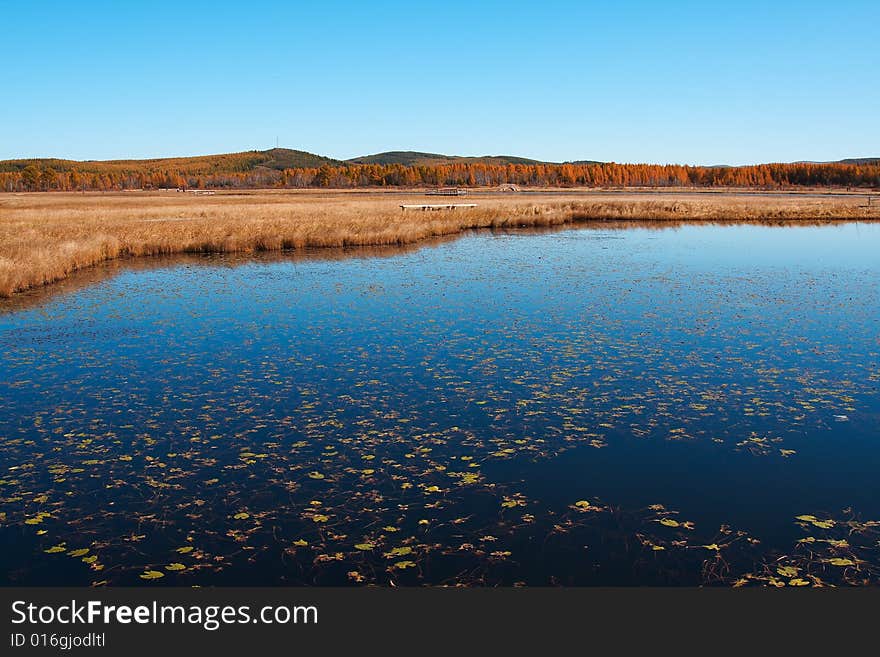 Lake