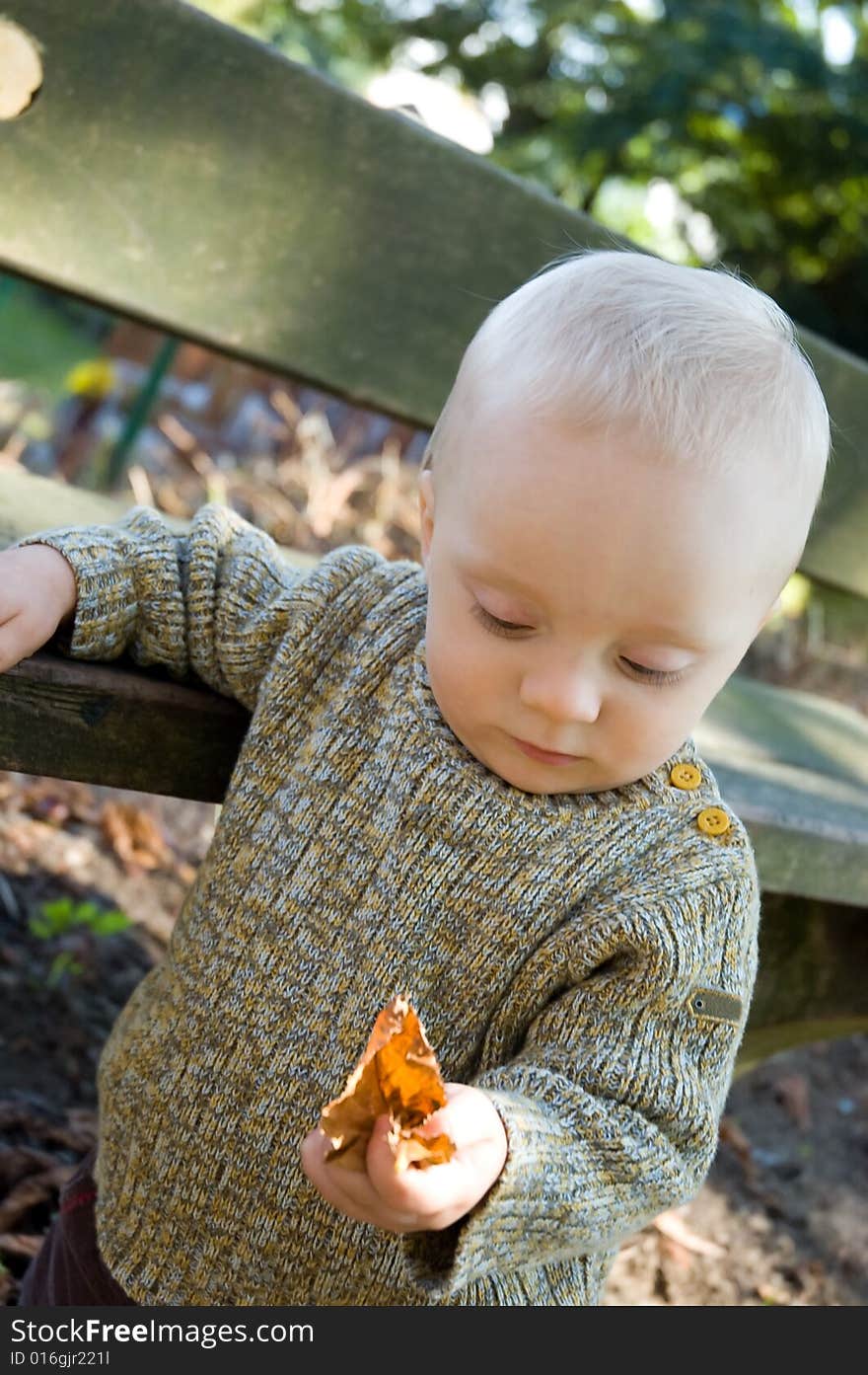 Baby boy (almost 1 year old) with leaf in autumn. Baby boy (almost 1 year old) with leaf in autumn