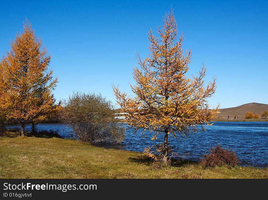 Bashang grassland in Inter-Mongolia of China, a famous and beautiful and colourful place to visit. Bashang grassland in Inter-Mongolia of China, a famous and beautiful and colourful place to visit