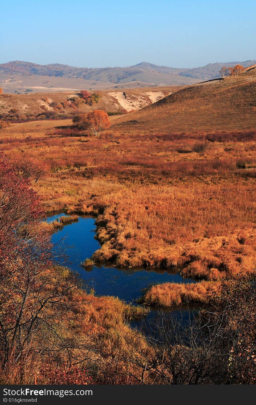 Bashang grassland in Inter-Mongolia  of China, a famous and beautiful and colourful place to visit