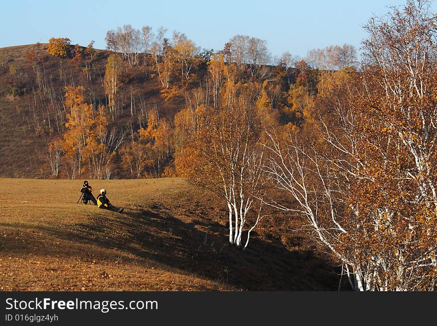 Bashang Grassland In Inter-Mongolia  Of China