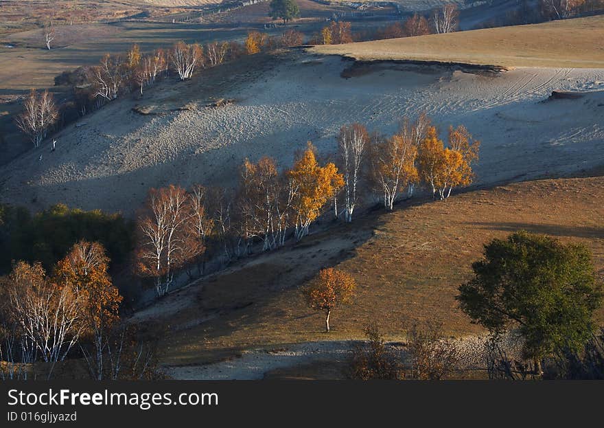 Bashang grassland in Inter-Mongolia  of China, a famous and beautiful and colourful place to visit