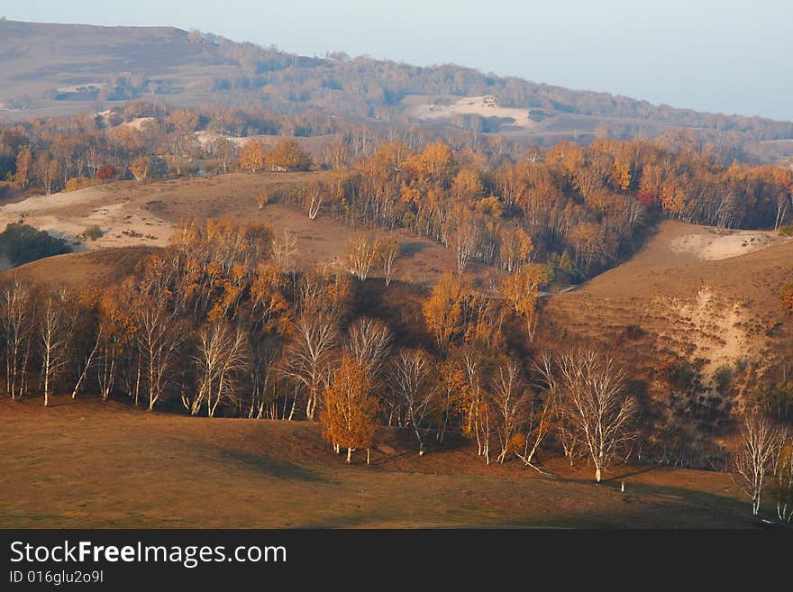 Bashang grassland in Inter-Mongolia  of China, a famous and beautiful and colourful place to visit