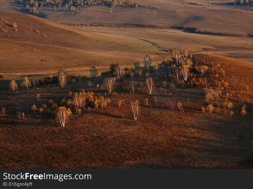 Bashang grassland in Inter-Mongolia  of China