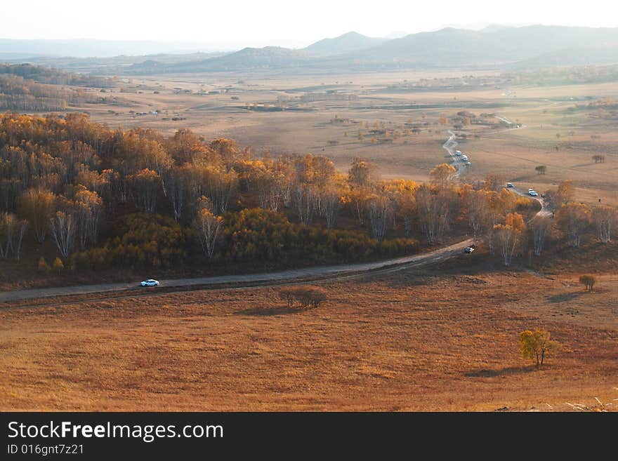 Bashang grassland in Inter-Mongolia  of China, a famous and beautiful and colourful place to visit