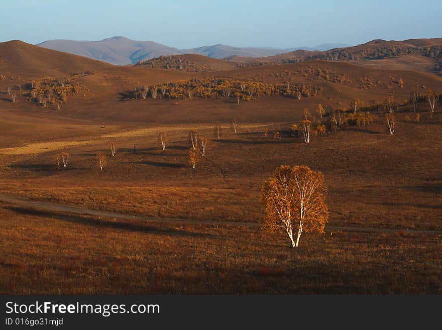 Bashang grassland in Inter-Mongolia  of China