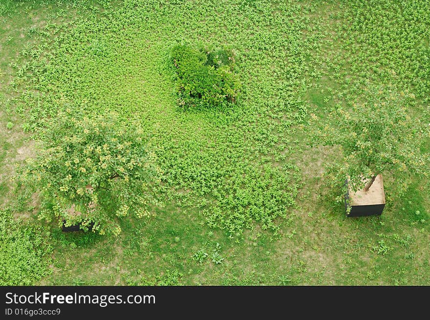 The garden plant viewed from top of building