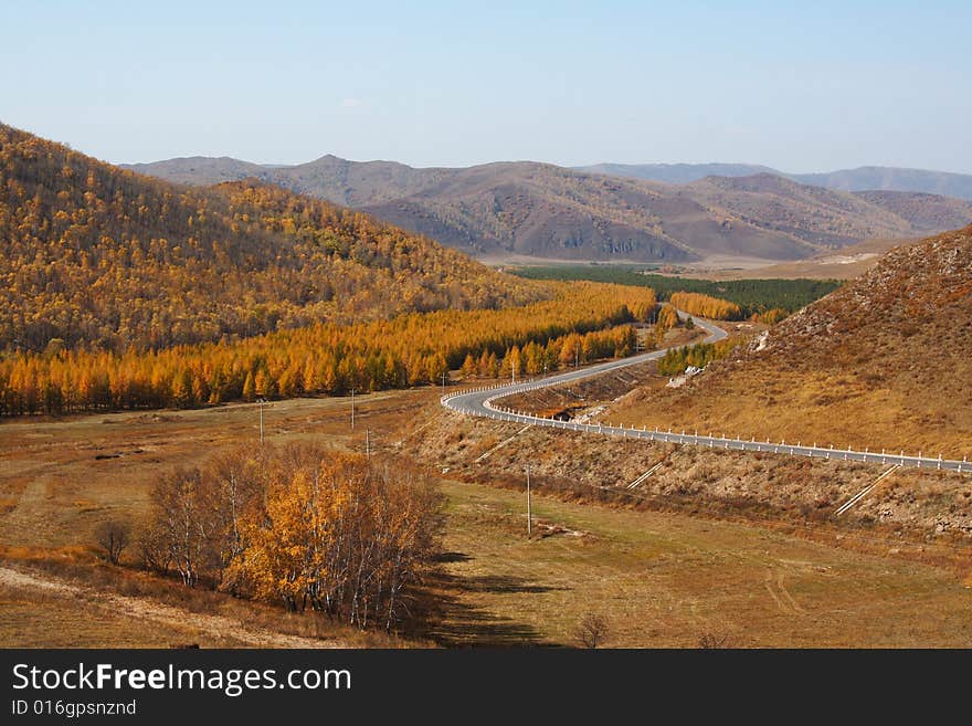 Bashang grassland in Inter-Mongolia  of China, a famous and beautiful and colourful place to visit