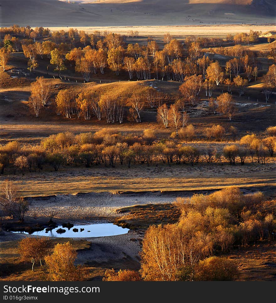 Autumn field