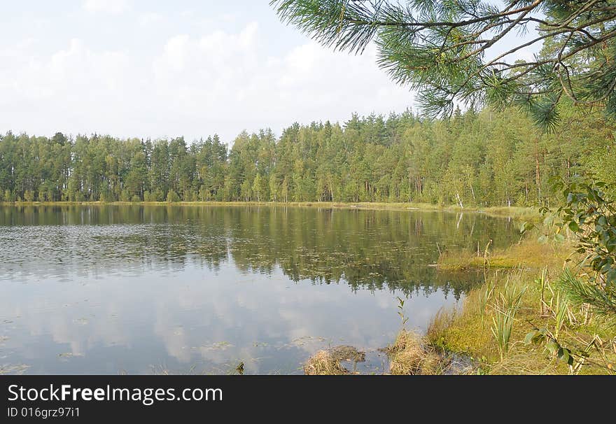 View on wood lake