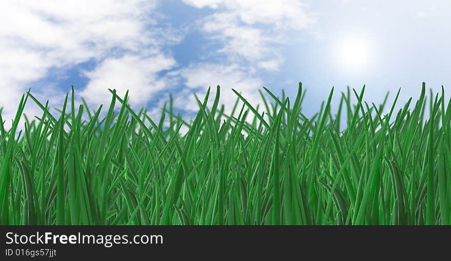 Green grass and blue sky background