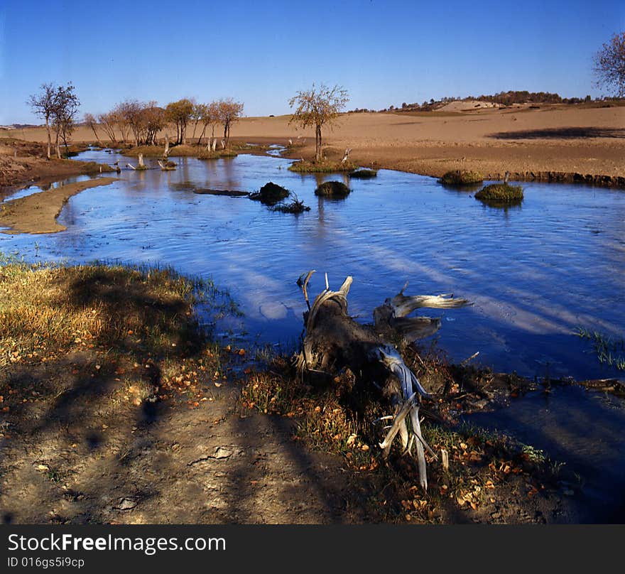 A golden autumn field,it is named bashang.