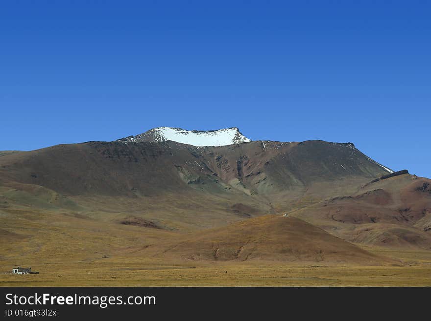 China s Tibet beauty of the Hoh Xil no man s land