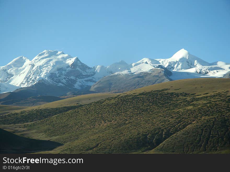 China S Tibet Beauty Of The Hoh Xil No Man S Land