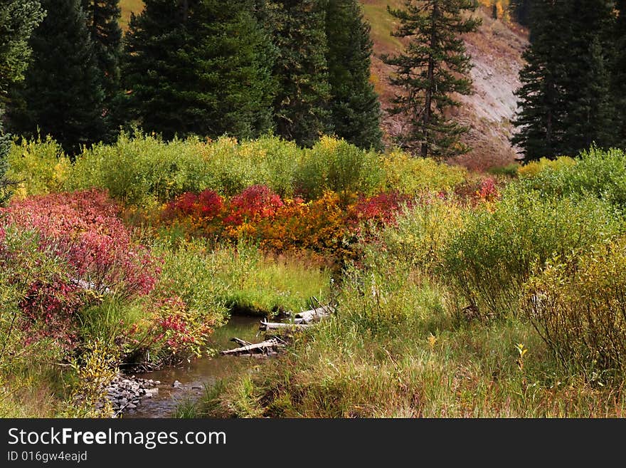 Mountain stream showing all the fall colors. Mountain stream showing all the fall colors